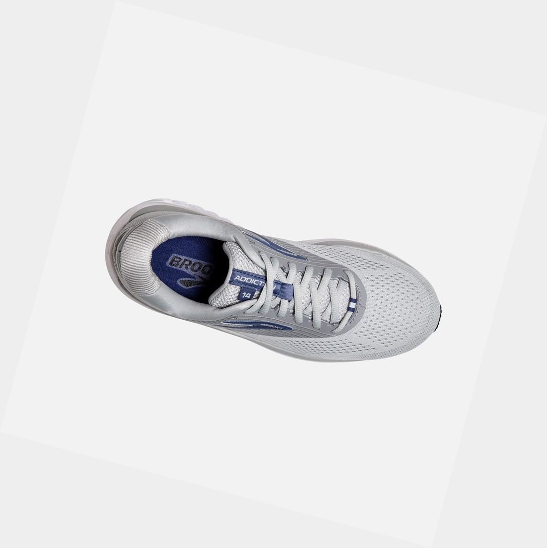 Chaussures Running Route Brooks Addiction 14 Femme Oyster / Alloy / Marlin | AUEY62540